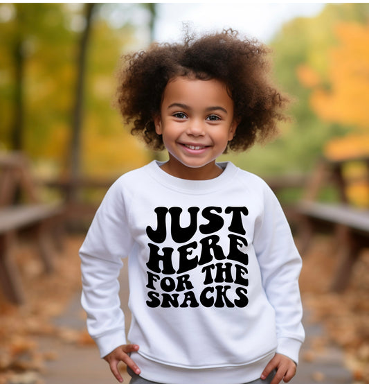 Just Here for the Snacks - Youth sweatshirt