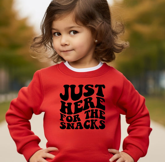 Just Here for the Snacks - Youth sweatshirt